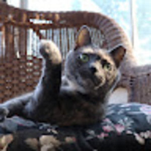 Meet your Posher, Jacob